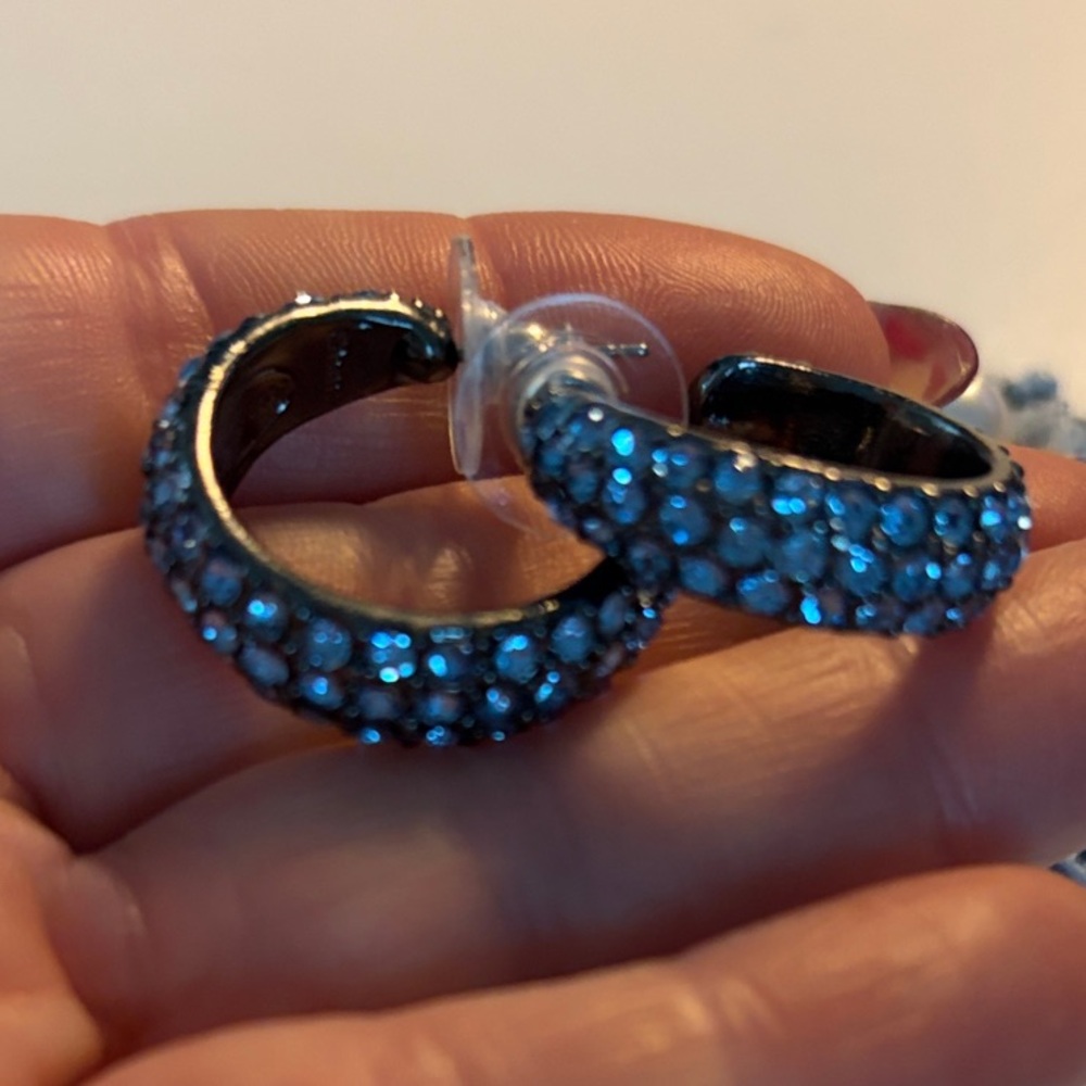 Joan Rivers Classics Collections Sparkling Blue Crystal Earrings